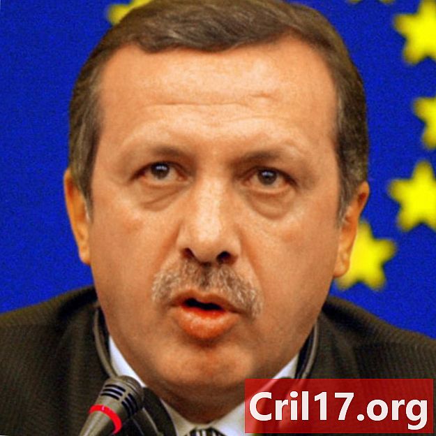 Recep Tayyip Erdogan -