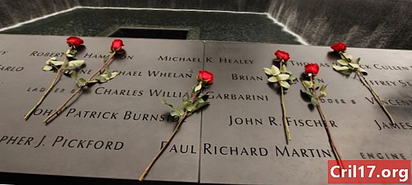 Kom ihåg 9/11: En dag som förändrade världen