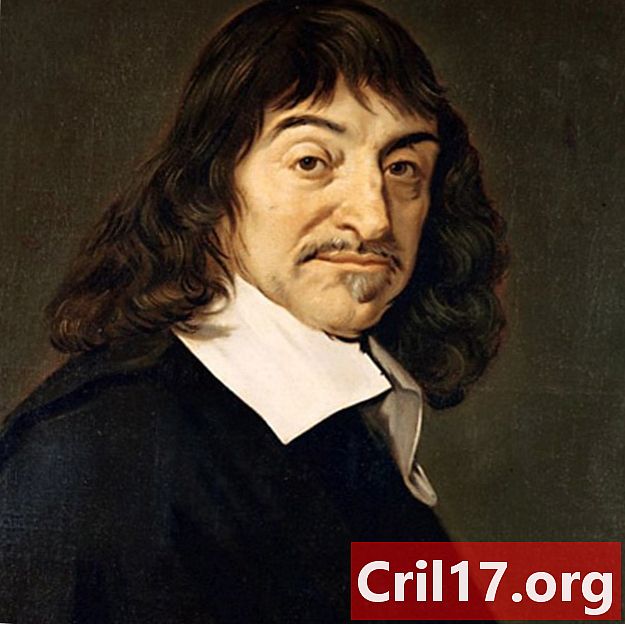 Rene Descartes-行情，生平与发现