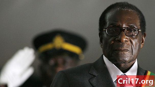 Robert Mugabe: Az afrikai vezető bonyolult öröksége