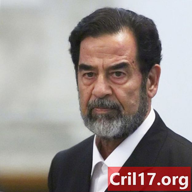 Saddam Hussein - Mort, polítiques i família