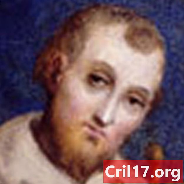 Święty Franciszek z Asyżu - Kościół, fakty i patron