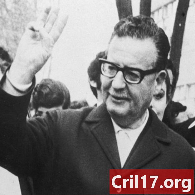 Salvadoras Allende - citatos, Čilė ir socialistai
