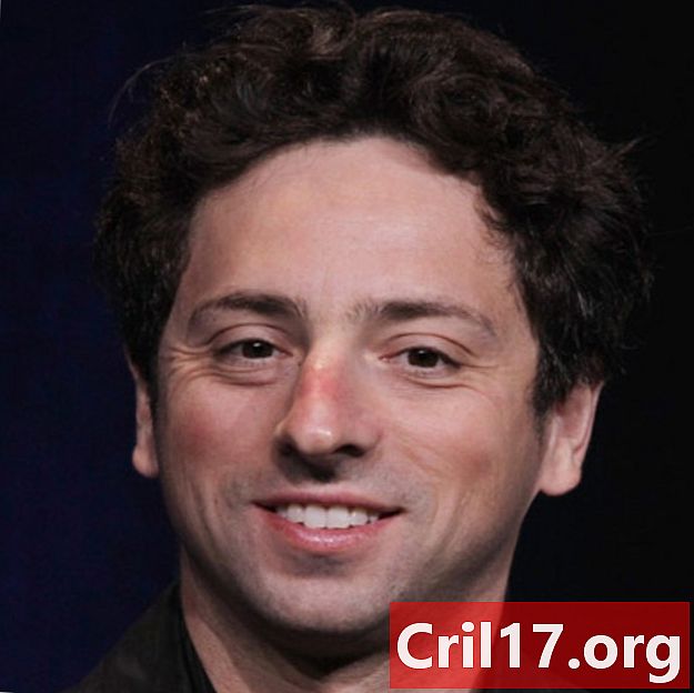 Sergey Brin - oktatás, Google és feleség
