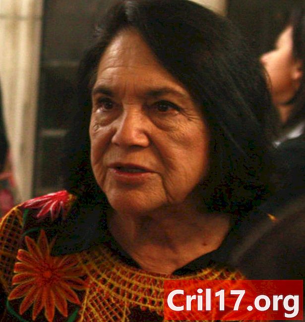 Si Se Puede! 7 sự thật về Dolores Huerta