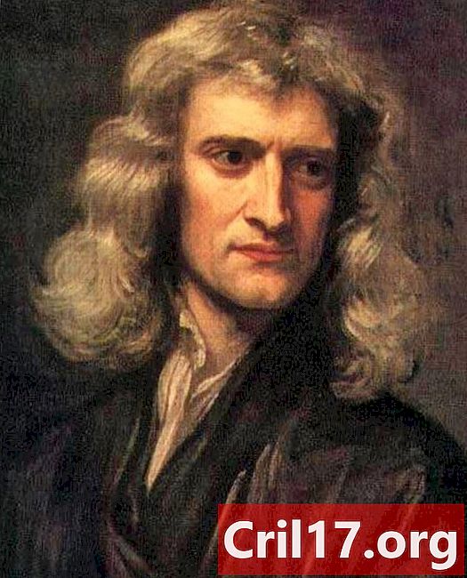 艾萨克·牛顿爵士和哲学家斯通