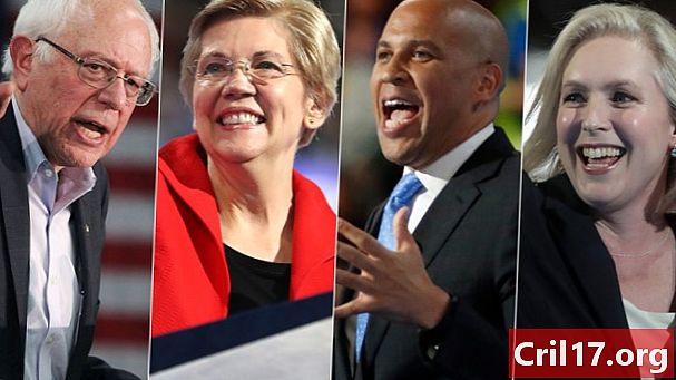 De democratische kandidaten die zich kandidaat stellen voor de president in 2020