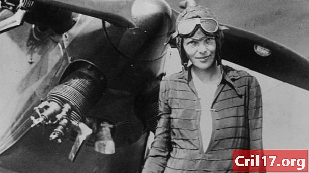 Den mystiske sidste flyvning af Amelia Earhart