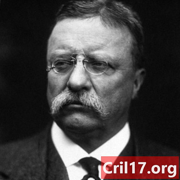Theodore Roosevelt - Citations, Enfants & Présidence