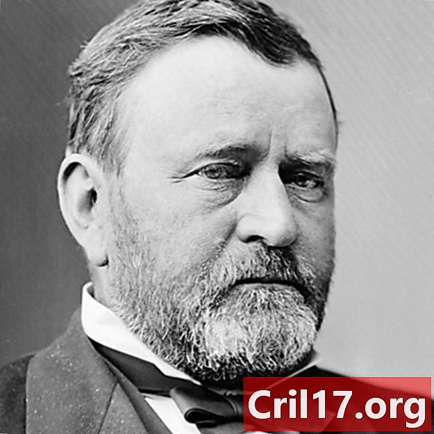 Ulysses S. Grant - Guia civil, fets i cites