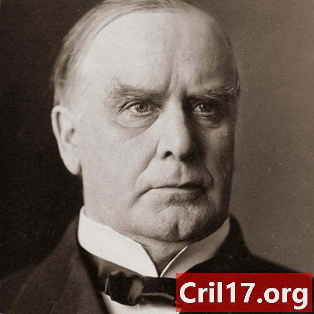William McKinley -