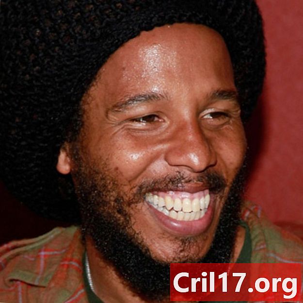 Ziggy Marley - Guitarrista, Cantant i compositor